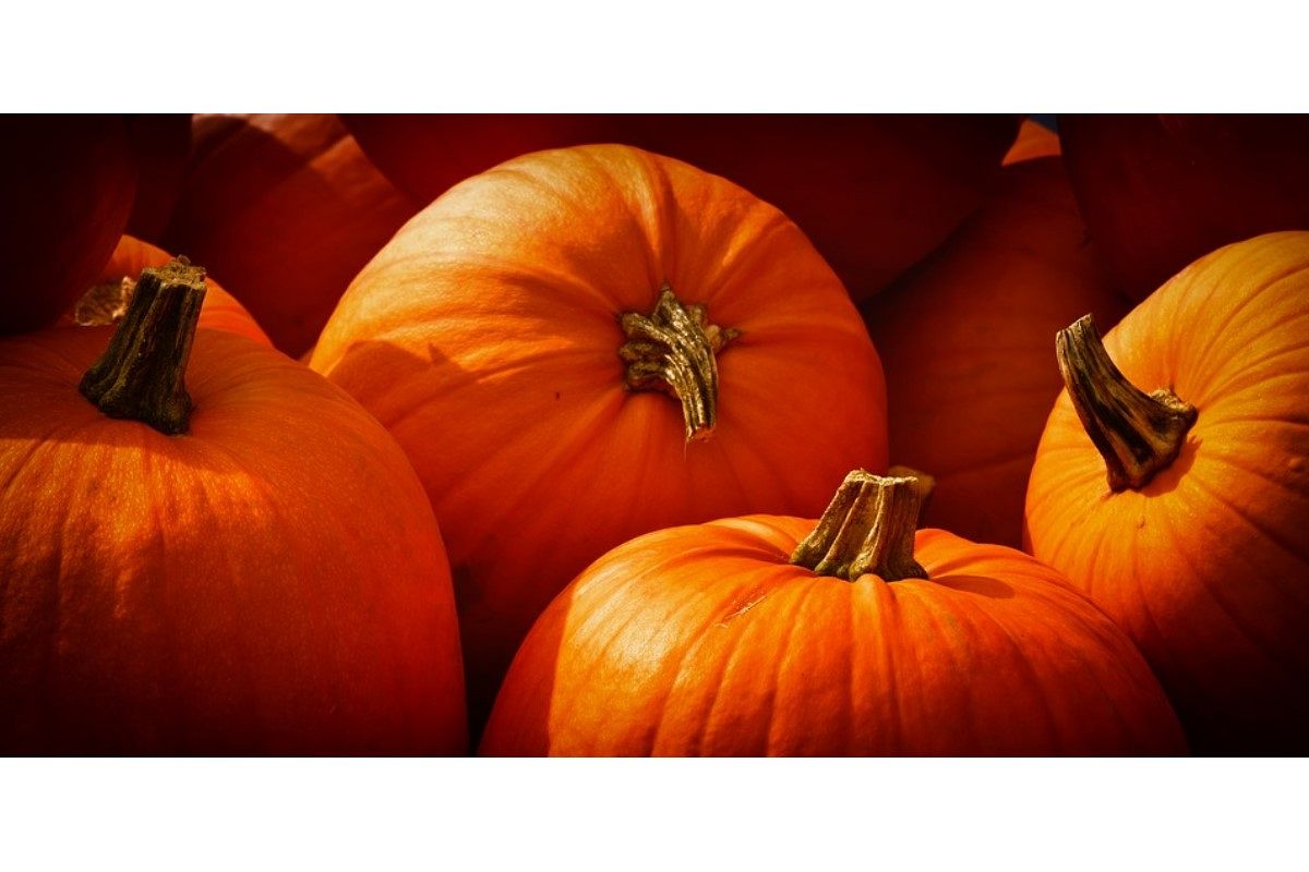 かぼちゃの夢は何を意味している？