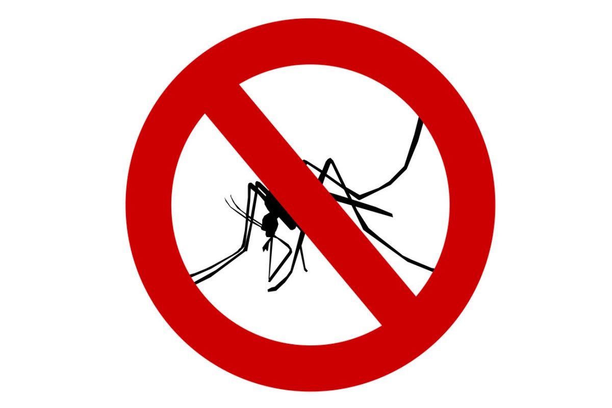 蚊の夢は何を暗示している？