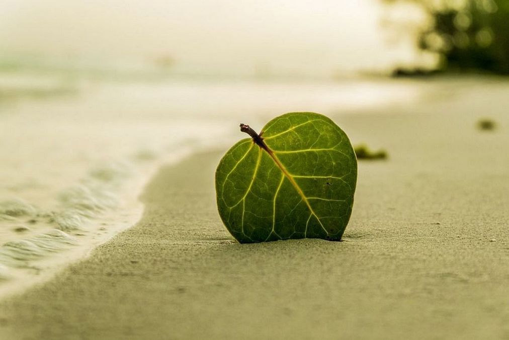 砂浜の夢は何を意味している？