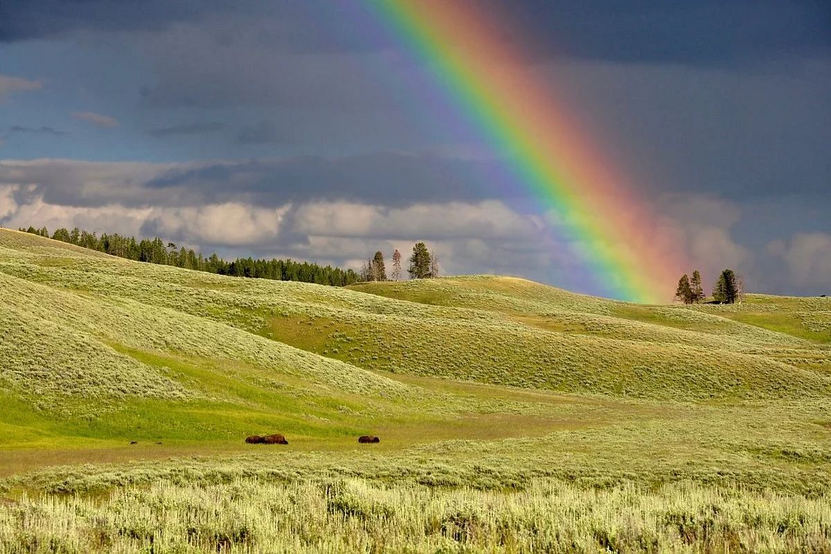 虹の夢は何を意味している？