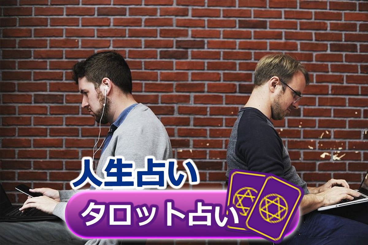 タロット占い 辛口ゴメン お仕事診断 タロットで見る 仕事のパートナーからの評価 さちこい