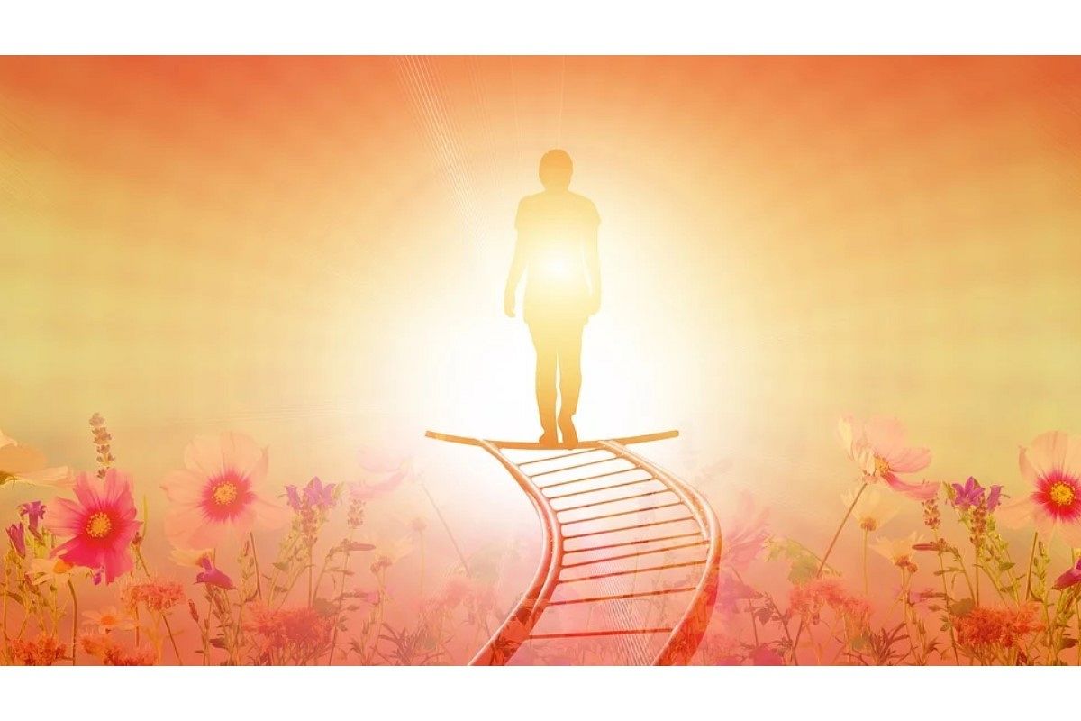 夢占い 夢診断 死ぬ夢 死んだ夢は何を意味している さちこい