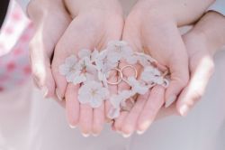 相性占い(相性診断)│奇跡の相性占い！　結婚を決意する時期～プロポーズ～