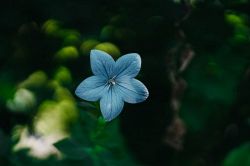 タロット占い│【核心に迫る不倫占い】あの人はこの関係を続けたい？それとも…