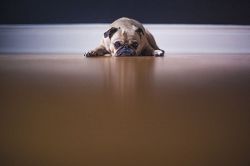 恋愛占い│『本当に知りたいですか？』彼があなたとの関係でずっと悩んでいること