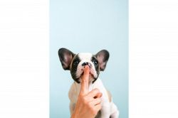 片思い占い│知らないふりしてあげる？【彼の隠し事】あなたに言えない秘密とは？