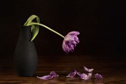 不倫占い│『どっちが大切？』既婚者のあの人の大事な人は、あなた？　それとも？